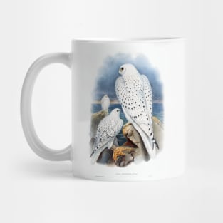 Greenland Falcon Mug